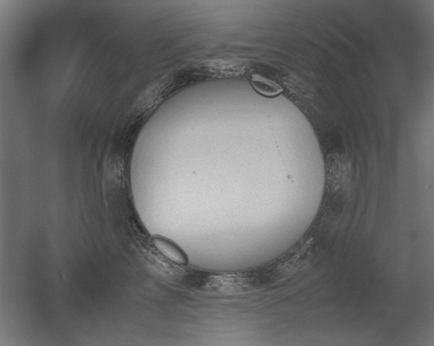 X0000052610713200507011227