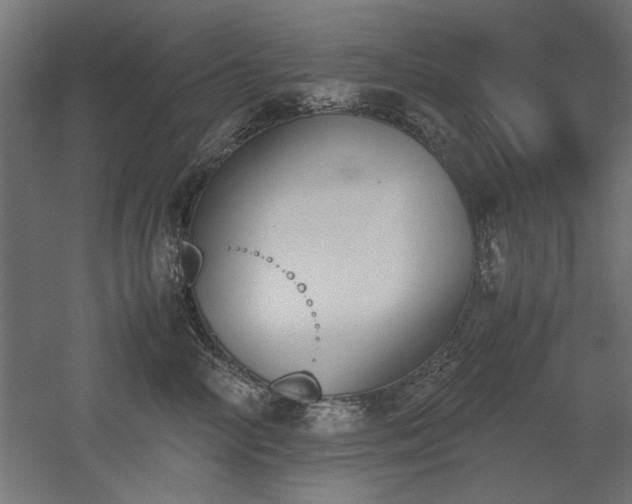 X0000052610714200507011227