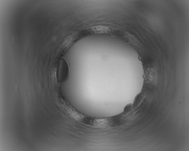 X0000052610717200507011227