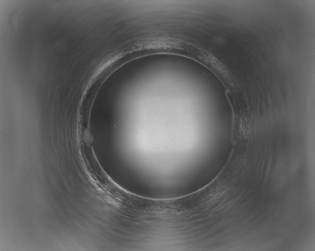 X0000052610724200507011226