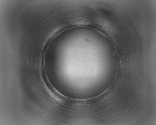 X0000052610725200507011226