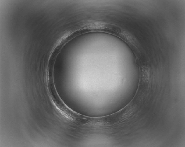 X0000052610726200507011226