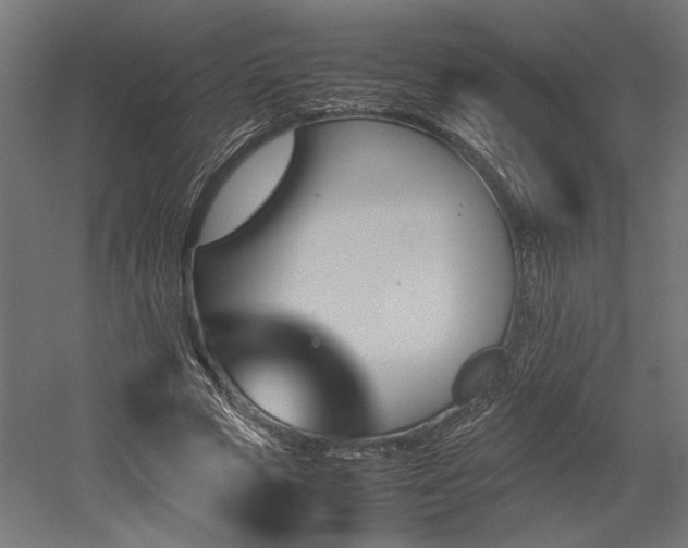 X0000052610729200507011226