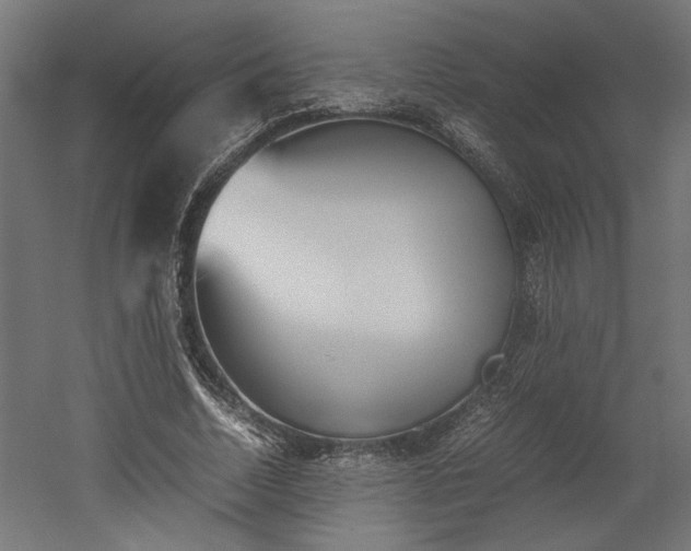 X0000052610730200507011226