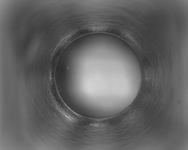 X0000052610733200507011227