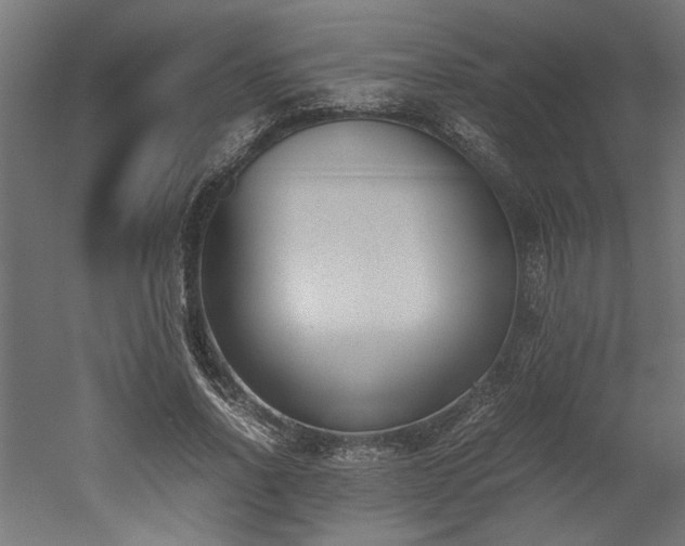 X0000052610734200507011227