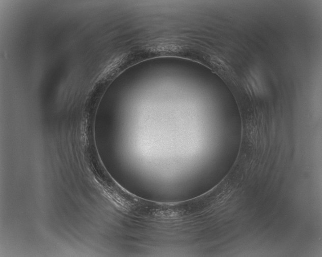 X0000052610735200507011227