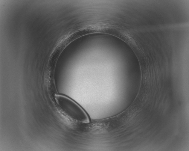 X0000052610736200507011227