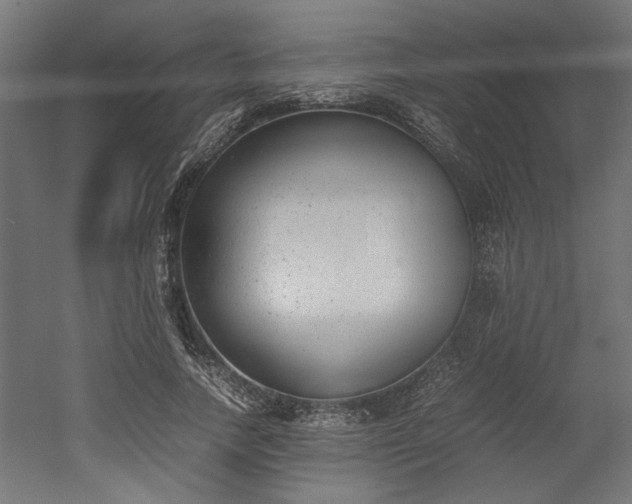 X0000052610738200507011227