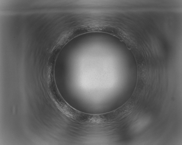 X0000052610742200507011227