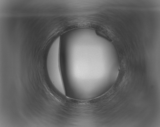 X0000052610744200507011227