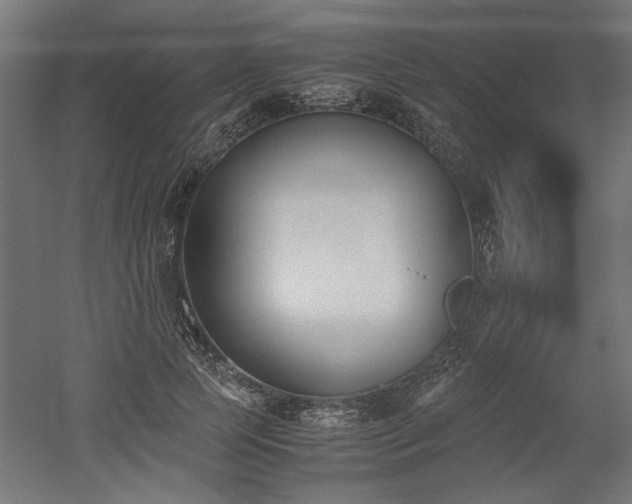 X0000052610745200507011227