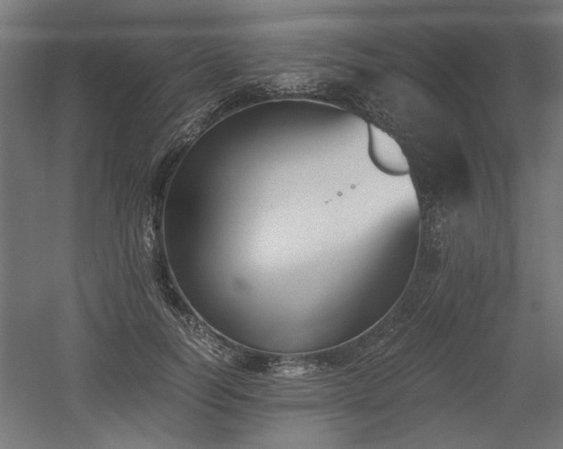 X0000052610746200507011227