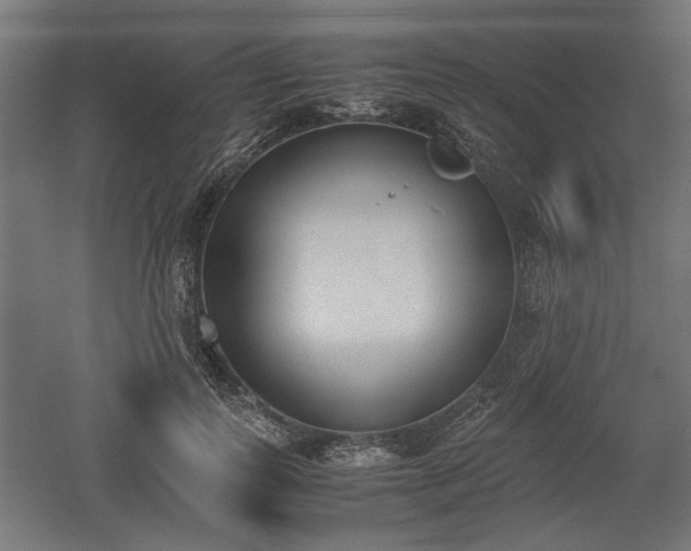 X0000052610747200507011227