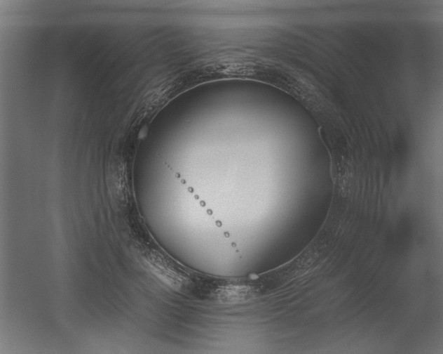 X0000052610748200507011227