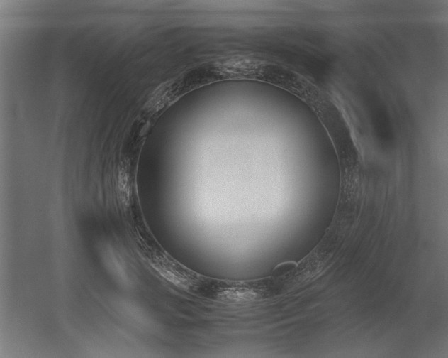 X0000052610749200507011227