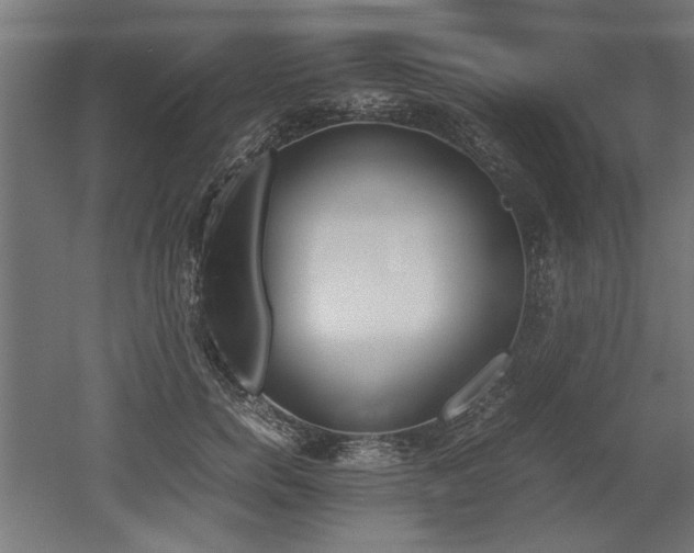 X0000052610750200507011227