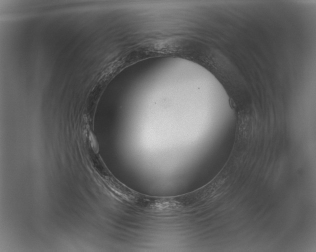 X0000052610752200507011227