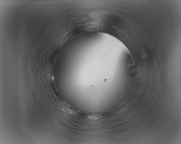 X0000052610753200507011227