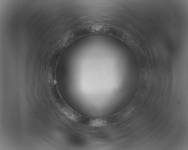 X0000052610754200507011227