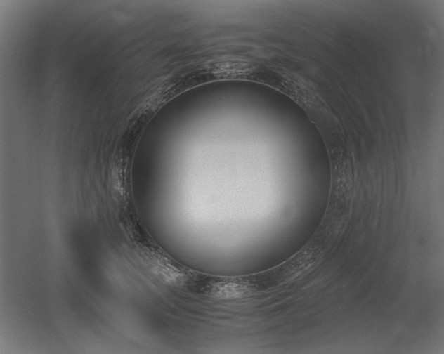 X0000052610755200507011227