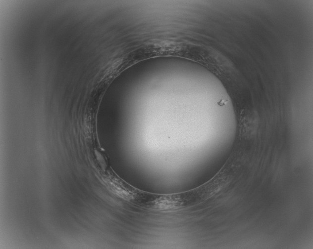 X0000052610756200507011227