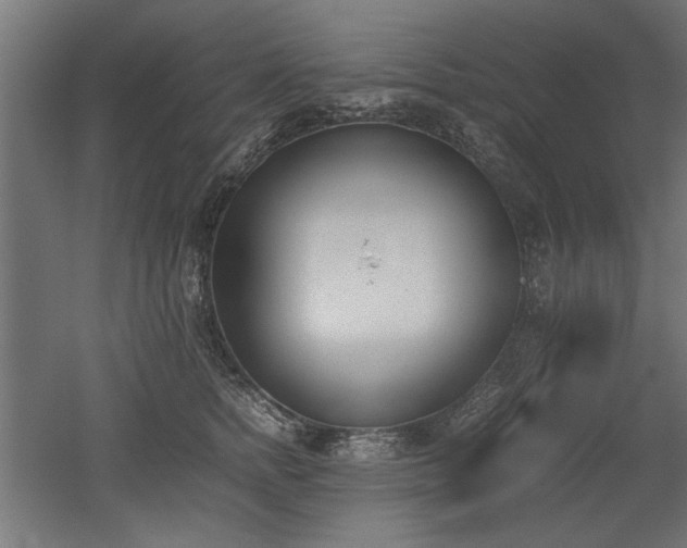 X0000052610758200507011227