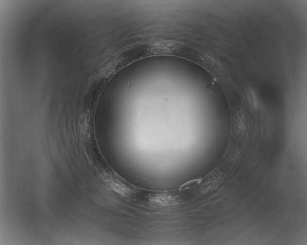 X0000052610759200507011227