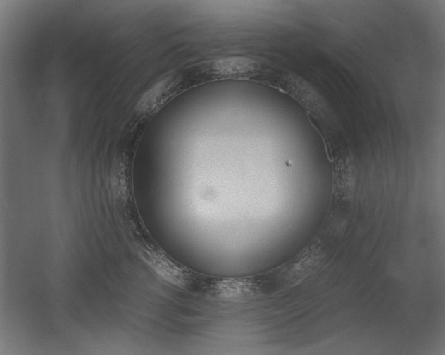 X0000052610762200507011227