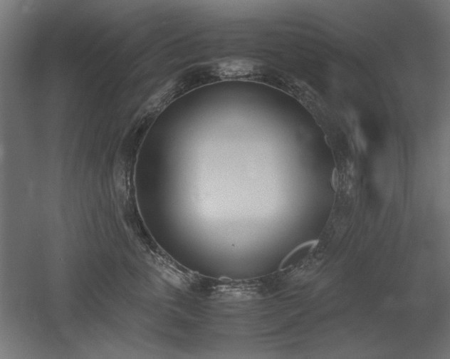 X0000052610763200507011227