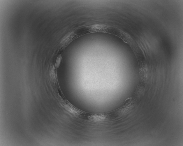 X0000052610765200507011227