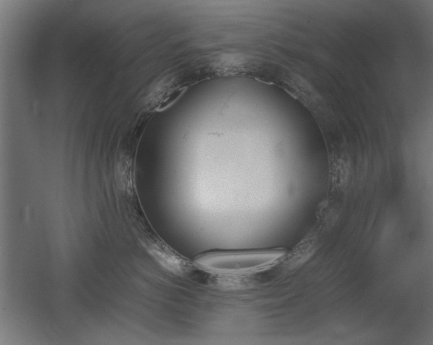 X0000052610766200507011227