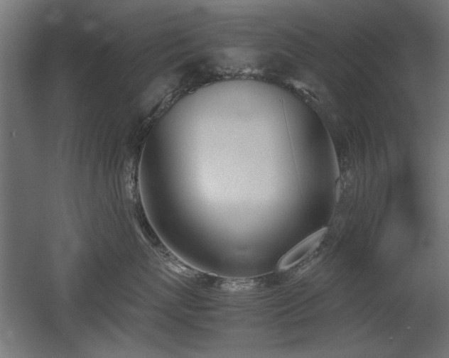 X0000052610767200507011227