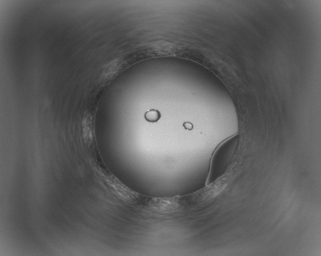 X0000052610768200507011227