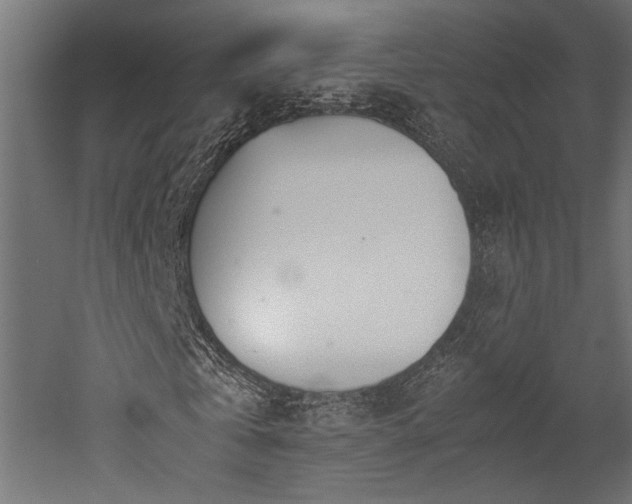 X0000052610769200507011226