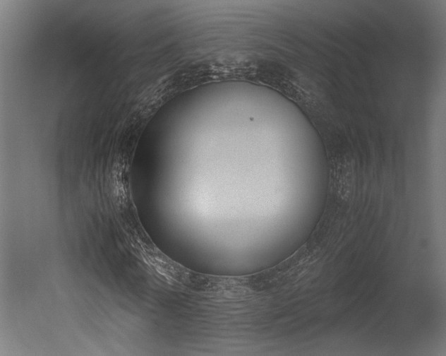 X0000052610770200507011226