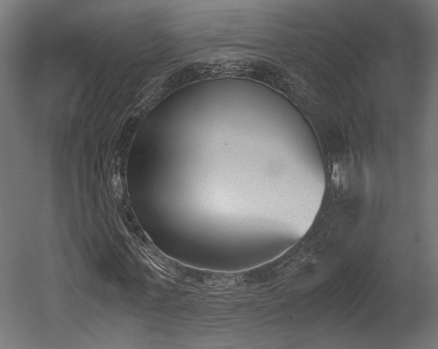 X0000052610771200507011226