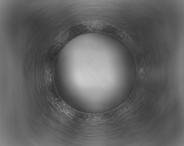 X0000052610772200507011226