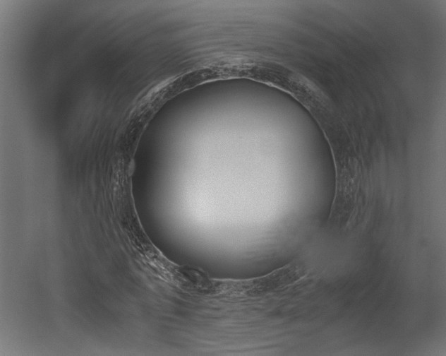 X0000052610773200507011226