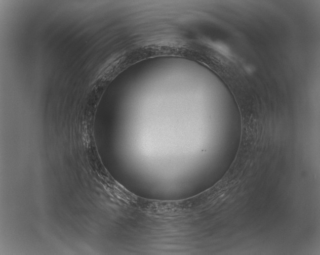 X0000052610774200507011226