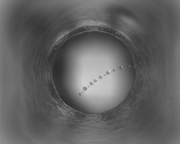 X0000052610775200507011226