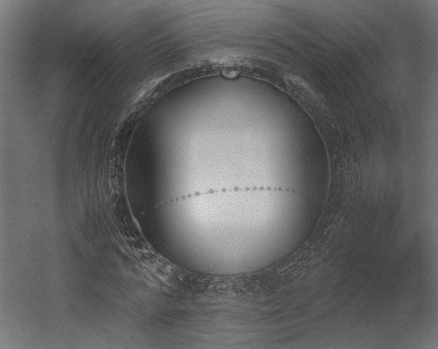 X0000052610776200507011226