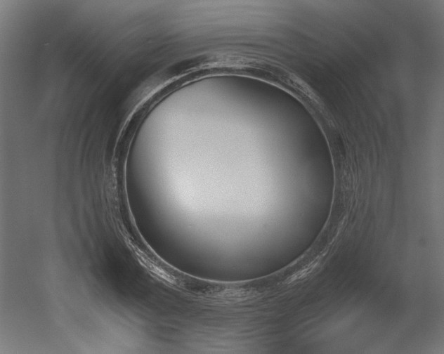 X0000052610779200507011226