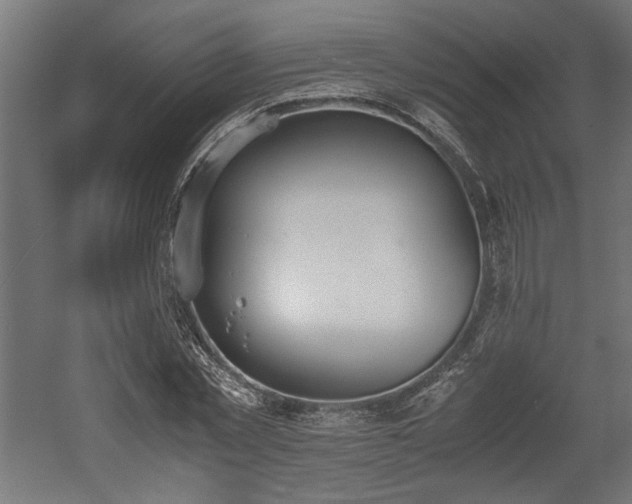 X0000052610781200507011226