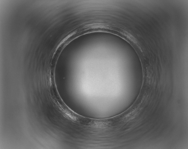 X0000052610782200507011226