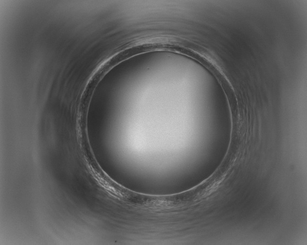 X0000052610783200507011226