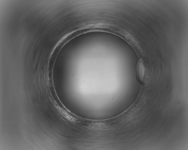 X0000052610784200507011226