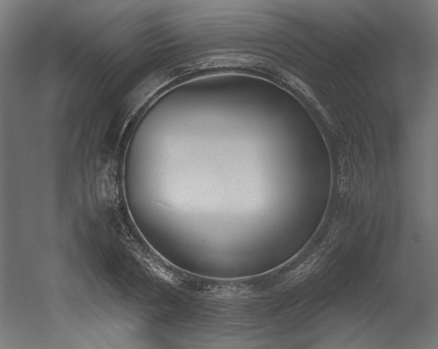 X0000052610786200507011226