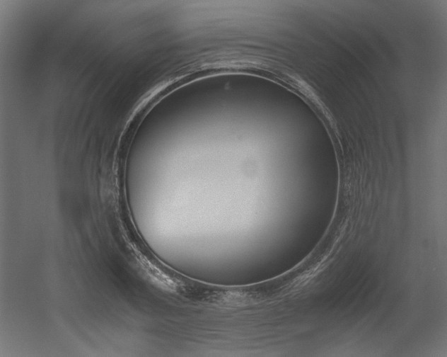 X0000052610787200507011226