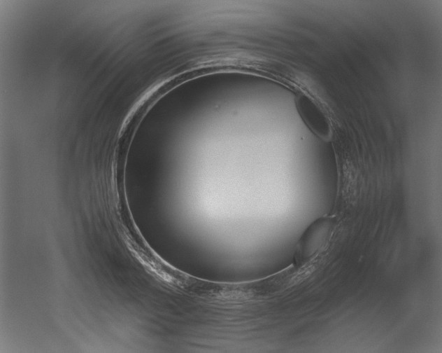 X0000052610788200507011226